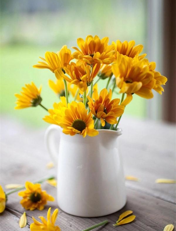 1555639504109534.jpg 11.jpg