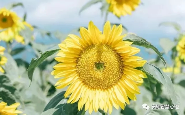 1555639525288814.jpg 640.webp (2).jpg