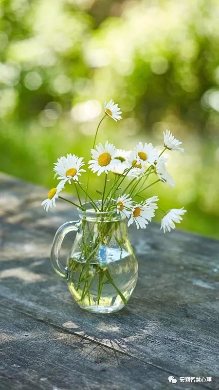 1559101590983106.jpg 640.webp (2).jpg