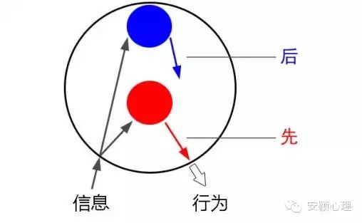 1559101642225721.jpg 640.webp (6).jpg