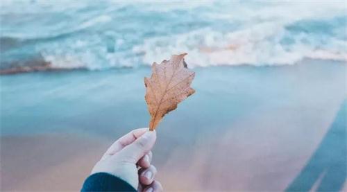 1568686909267678.jpg 微信圖片_20190916110228.jpg