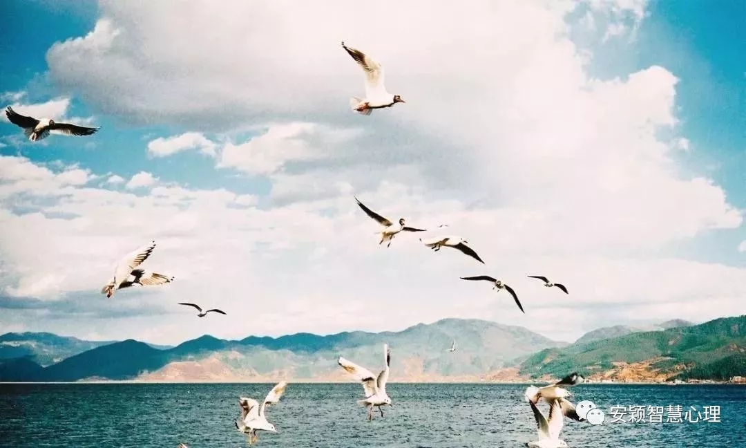 1571729260130094.jpg 640.webp (5).jpg