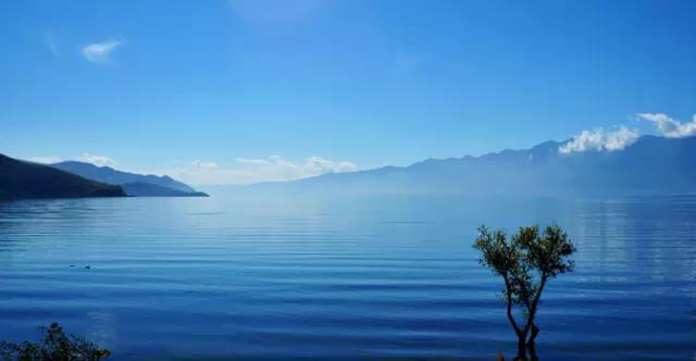 1625728161619947.jpg 微信圖片1.jpg