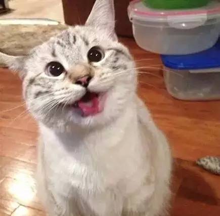 1627551802956354.jpg 微信圖片6.jpg