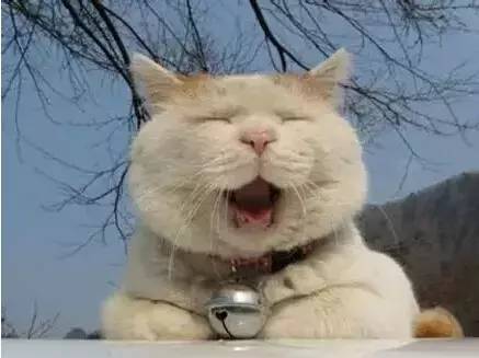 1627551825828860.jpg 微信圖片7.jpg