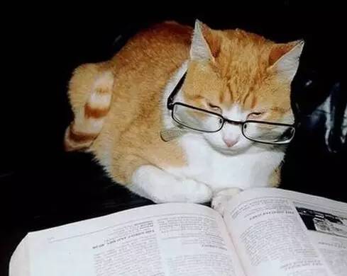 1627551840285503.jpg 微信圖片8.jpg