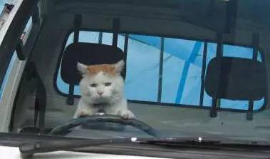 1627551862861882.jpg 微信圖片10.jpg