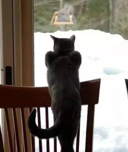 1627551906743002.jpg 微信圖片14.jpg