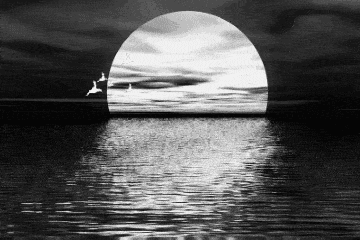 1652241020101727.gif 微信圖片_20211221095628.gif