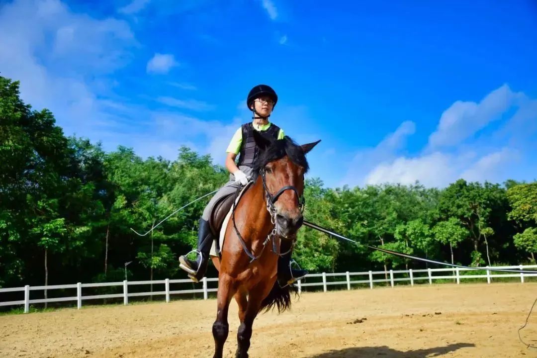 1657097834667811.jpg 18.jpg