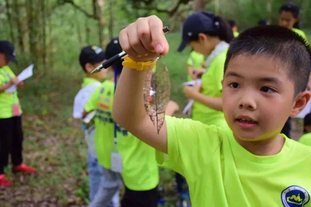 1657097987795489.jpg 31.jpg